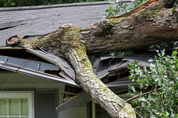 Cost of Storm Remediation in Plymouth