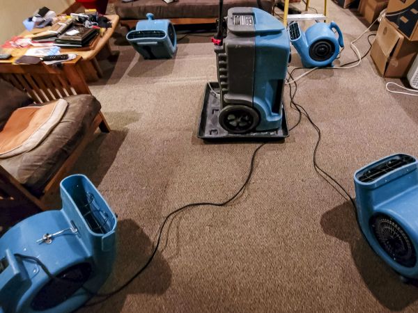Cost of Flood Damage Recovery in Plymouth