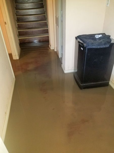 Cost of Emergency Water Removal in Plymouth