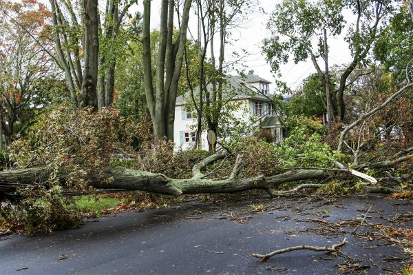 Cost of Tornado Damage Repair in Plymouth