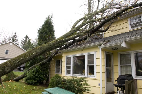 Cost of Hurricane Damage Repair in Plymouth