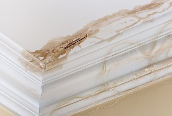Cost of Water Damage Recovery in Plymouth
